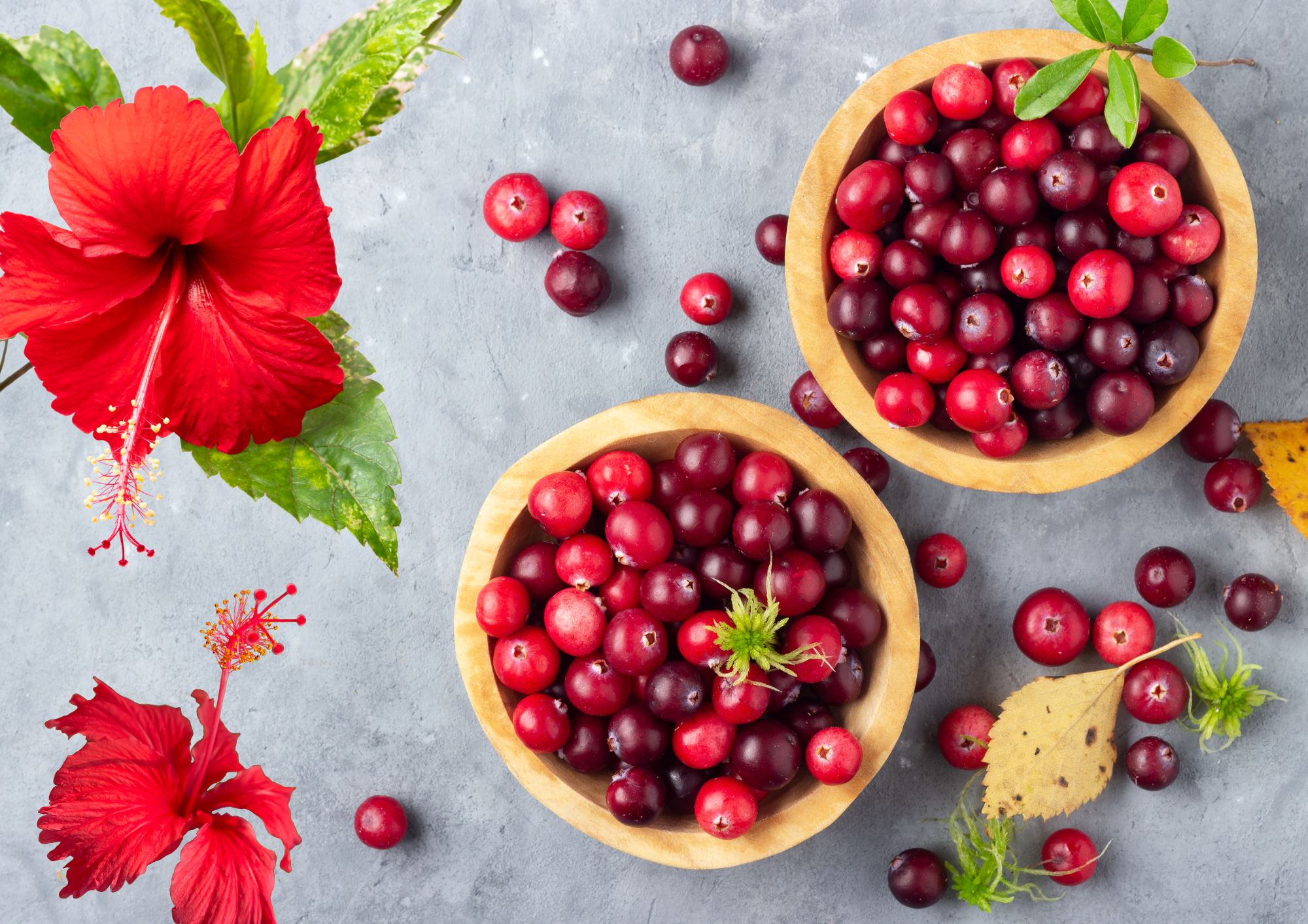 Arandano rojo e Hibisco contra las infecciones urinarias